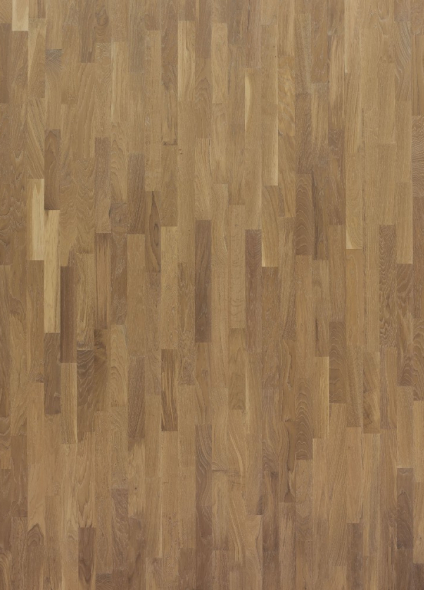 Oak Roberto Паркетная доска Primavera 14x188x2266 мм